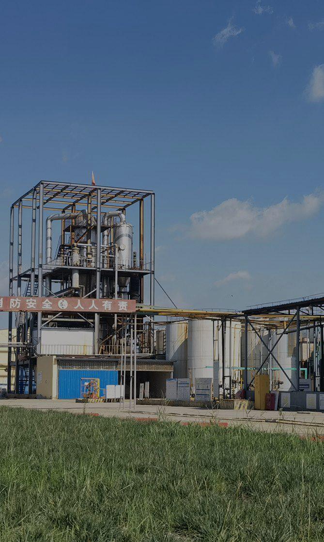 專業的纖維素、乳膠粉生產商